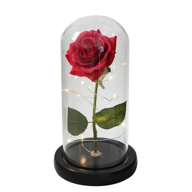 Galactic Enchantment Rose Dome