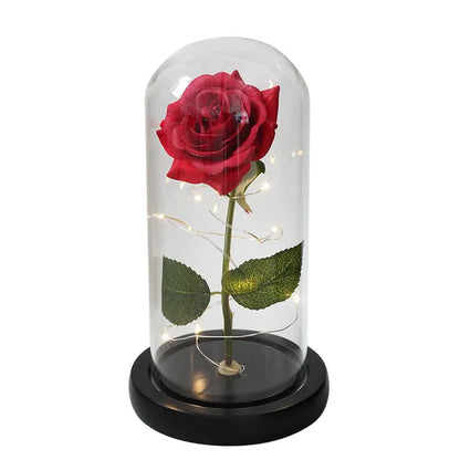 Galactic Enchantment Rose Dome