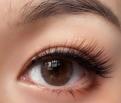 Magnetic Eyelash Kit